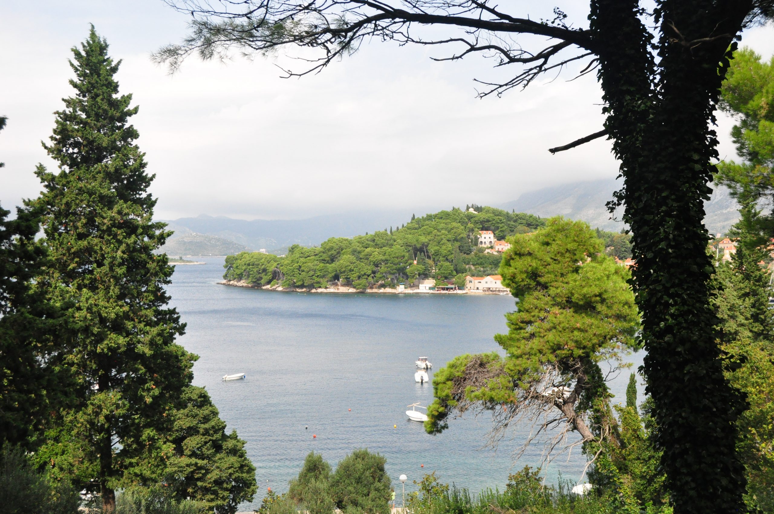 Cavtat